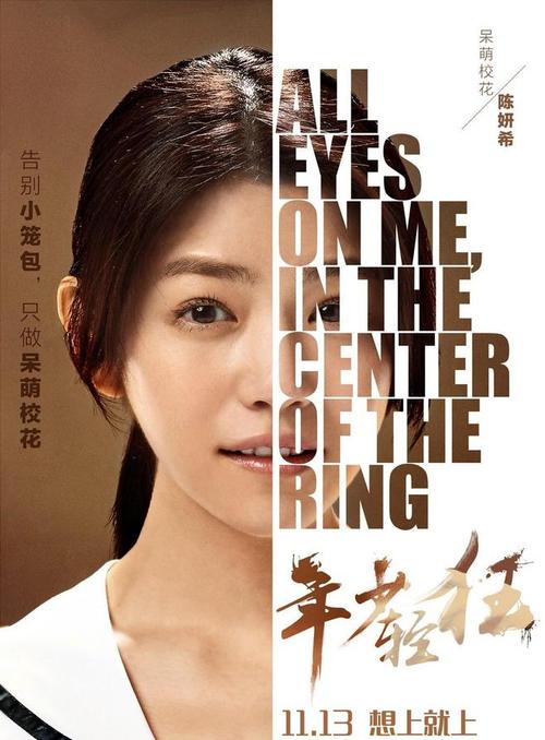 仿制假离婚公证书
